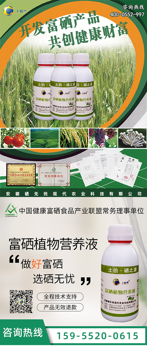 水稻硒肥,富硒水稻